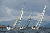 whyw13 tue 2448